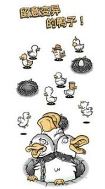 蛋里是什么鸭游戏截图