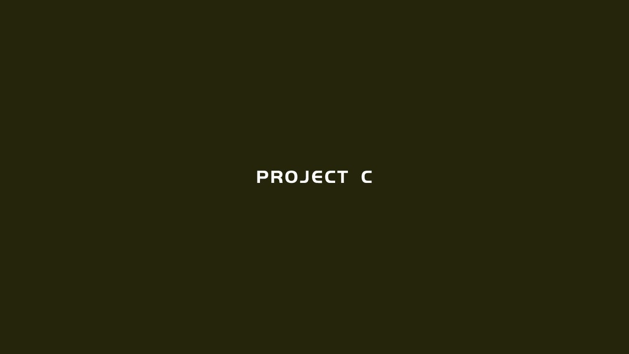 ProjectC游戏截图