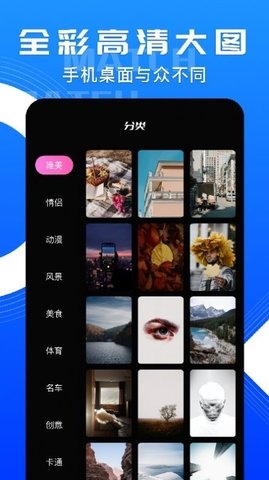小鸟主题壁纸app截图