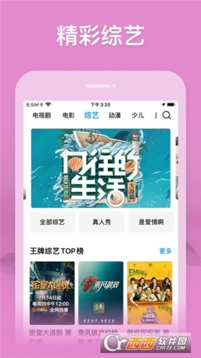 竹叶视频截图