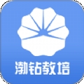 渤钻教培