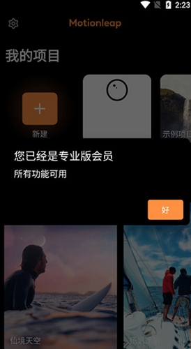 Motionleap2022截图