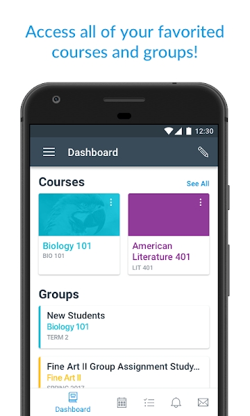 CanvasStudent截图