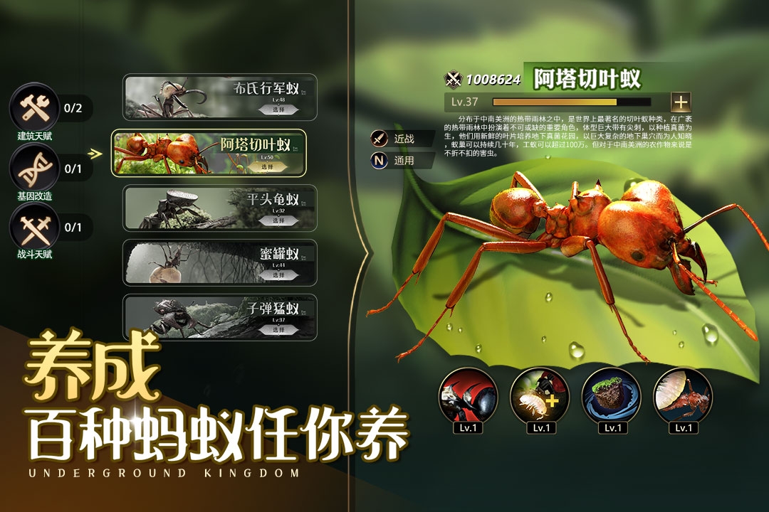 小小蚁国(手机版)截图