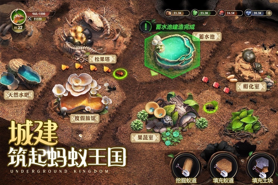 小小蚁国(手机版)截图
