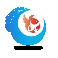 朋月同辉