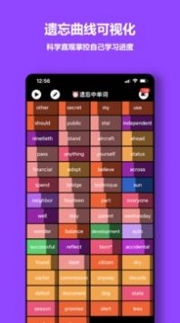 单词块截图