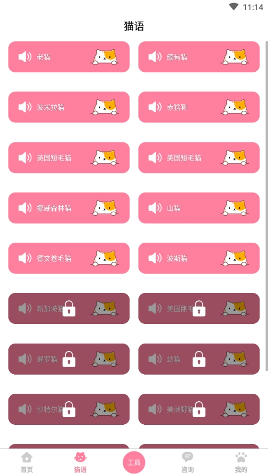 人猫翻译器免费版截图