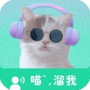 猫语翻译交流器