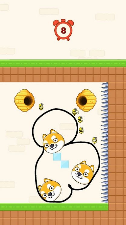 拯救宠物拯救小猪(Save the Pet)截图
