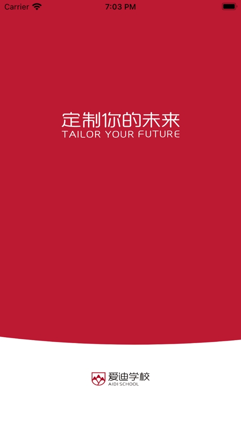 AMIS超脑截图