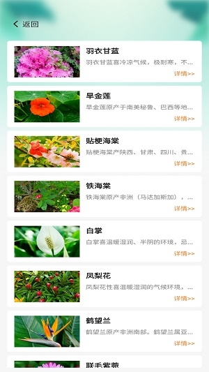 百草万象园截图