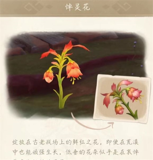 原神悼灵花刷新机制是怎么样的