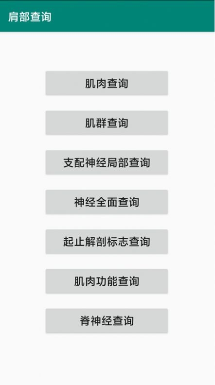 肌肉起止点及神经查询软件截图
