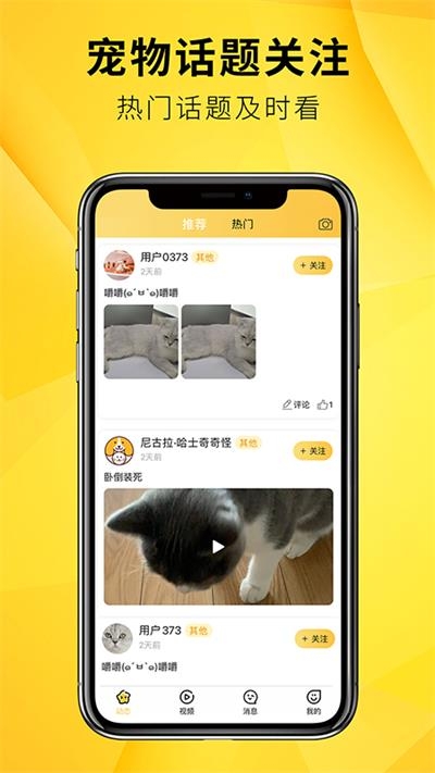 毛宠团截图