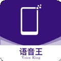 宗介语音播报