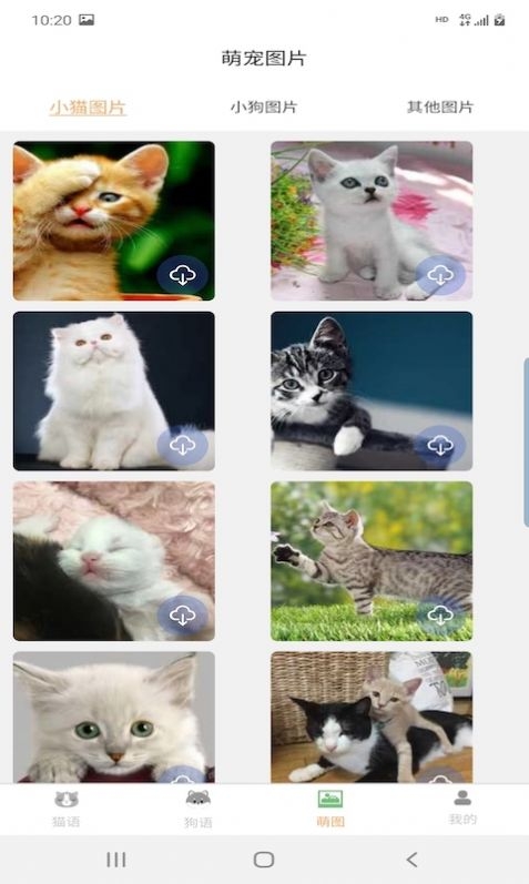昊捷猫狗翻译截图
