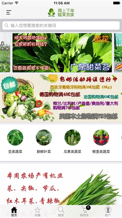 南欧蔬菜园截图