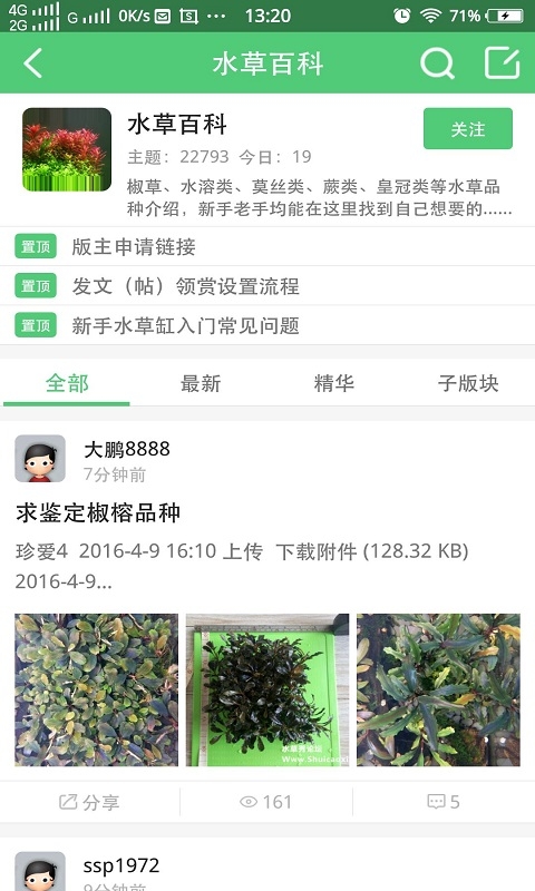 水草秀截图