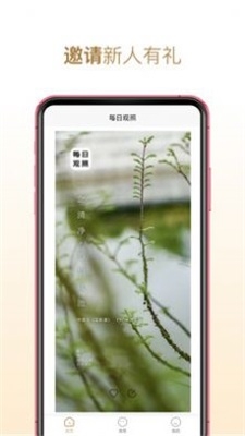 每日观照截图