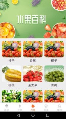 绿色菜园子截图