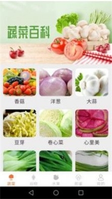 绿色菜园子截图