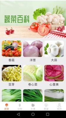 绿色菜园子截图
