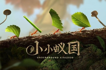 小小蚁国2022破解版免费截图
