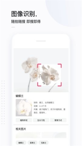 简单搜索永无广告最新版截图