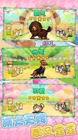 发现狗狗乐园debug破解版截图