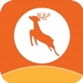 小鹿专升本APP