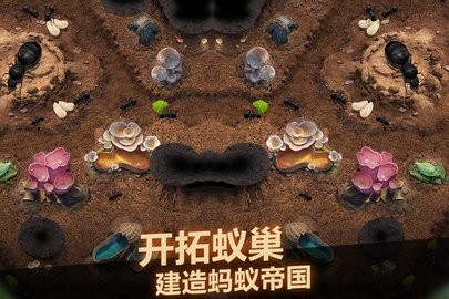 小小蚁国2022破解版免费截图