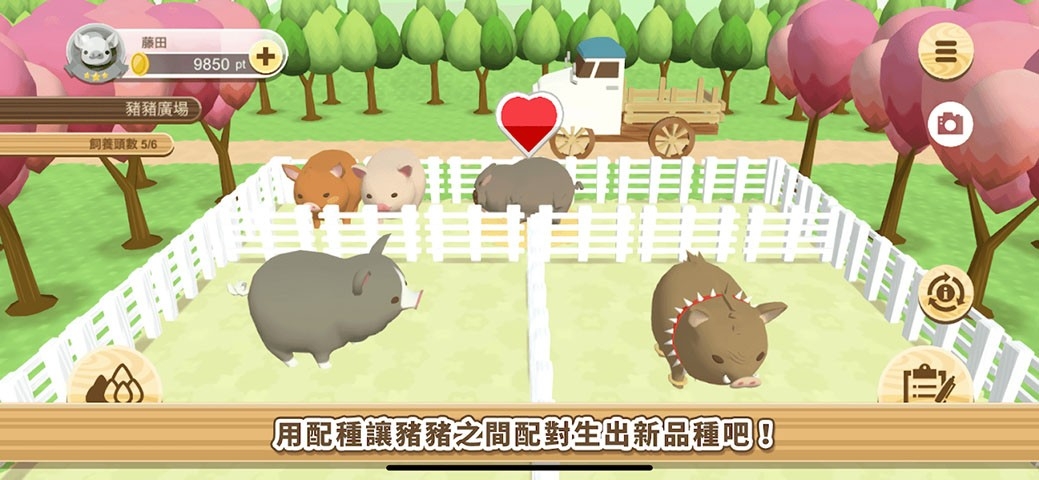 养猪场3d破解版最新版截图