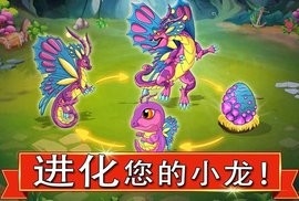 龙之战内购破解版中文版截图