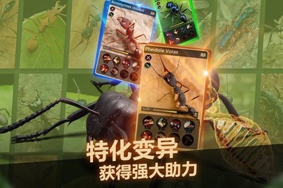 小小蚁国2022破解版免费截图