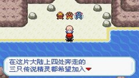 口袋妖怪黑暗升起作弊菜单版截图