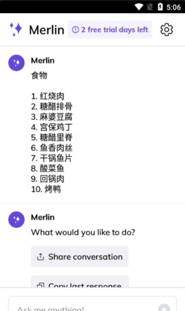 Merlin AI中文版软件截图