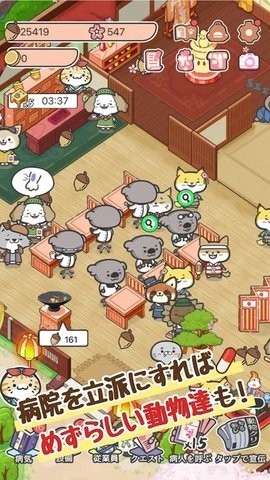 动物病友会官方正版APP截图
