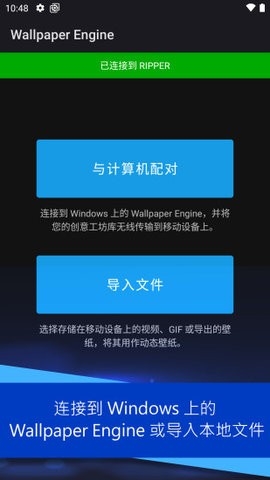 壁纸引擎app手机版截图
