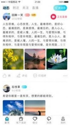 星尘之约手机版截图