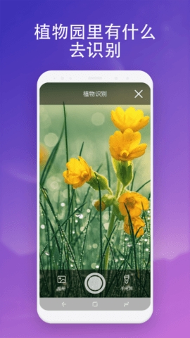 无垠扫描软件截图