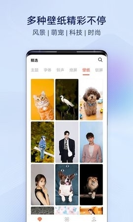 vivoi主题免费版截图