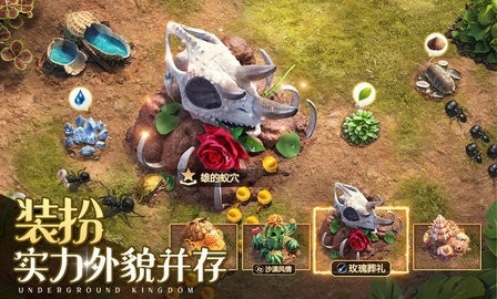 小小蚁国内置作弊菜单破解版不用实名认证截图