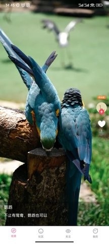 花卷短视频最新版截图