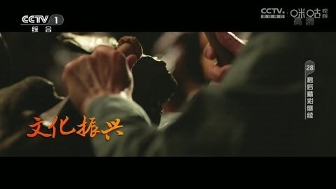 神鸟电视直播软件截图