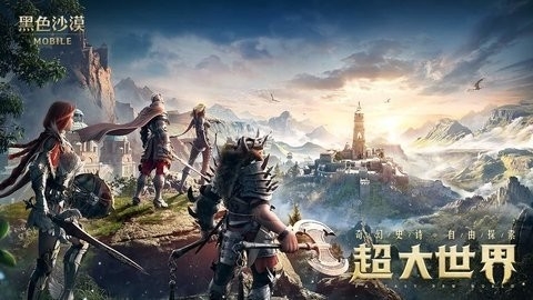 黑色沙漠240G单机版3506女海盗截图