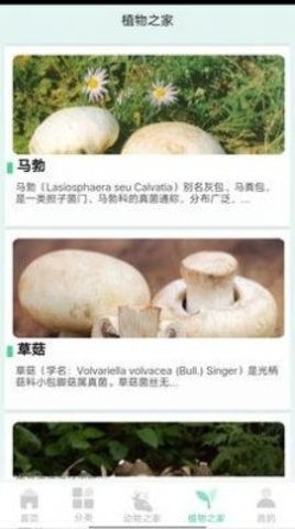 动植物之家最新版