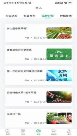 泉水草莓最新版截图