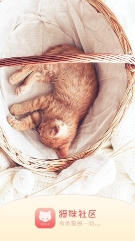 猫咪杜区app官网安卓截图