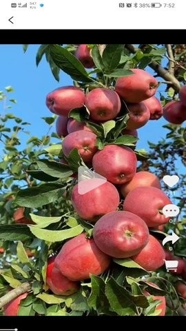 善农优选最新版截图